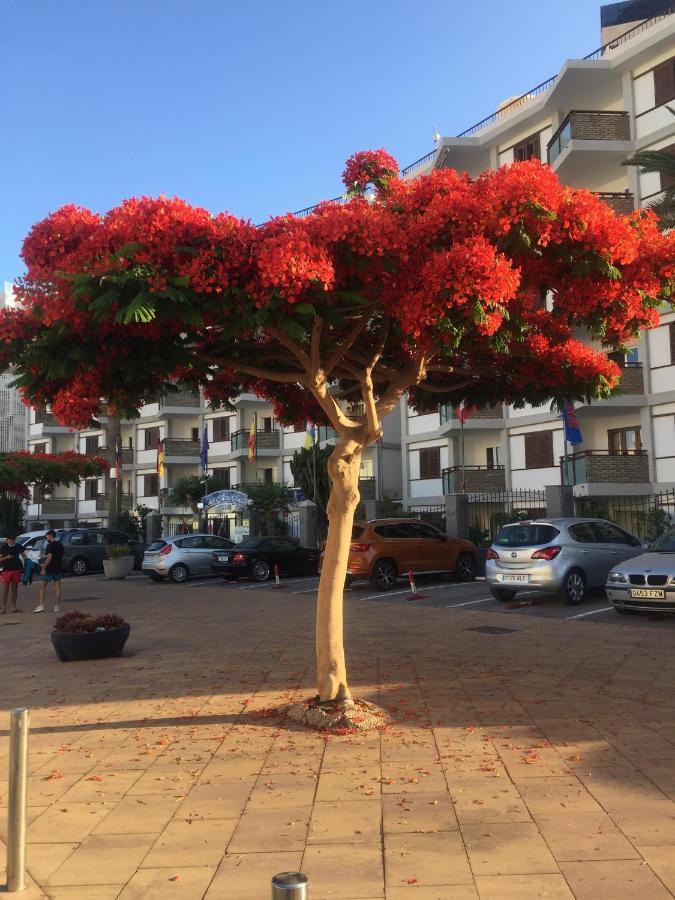 Top Floor Sea View Central Holiday Home Maspalomas  Zewnętrze zdjęcie